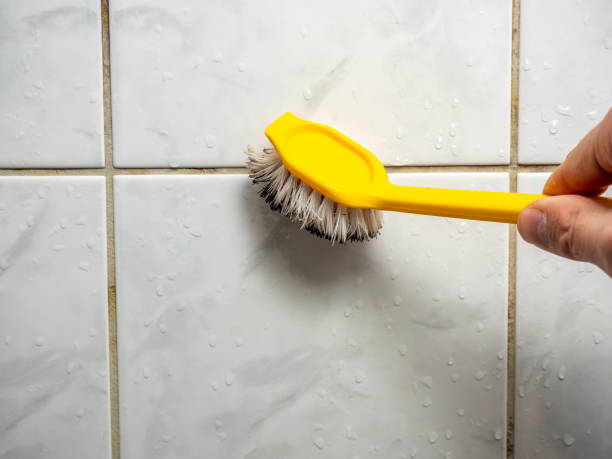 Best Commercial Mold Remediation in Ridgemark, CA
