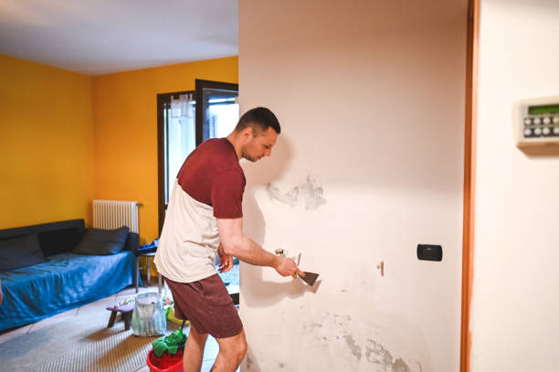 Best Bathroom Mold Remediation in Ridgemark, CA